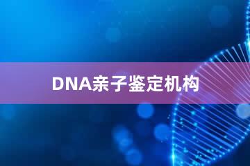 上海DNA亲子鉴定机构
