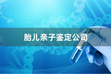 上海胎儿亲子鉴定公司